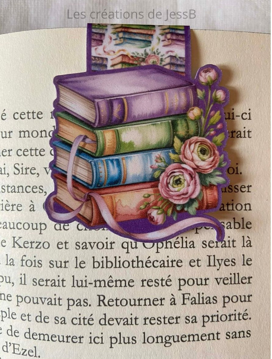 Signets magnétiques - livres  (Seconde chance)